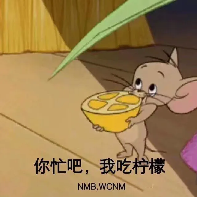 你忙吧，我吃柠檬（NMB,WCNM）