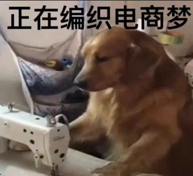 正在编织电商梦（正在编织电商梦）