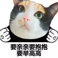 要亲亲要抱抱要举高高（要亲亲要抱抱要举高高）