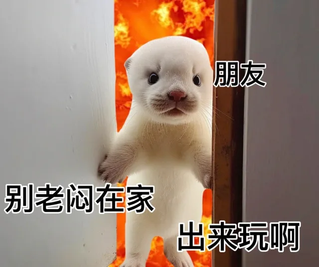 朋友别老闷在家出来玩啊（朋友别老闷在家出来玩啊）