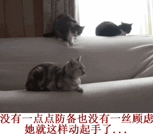 没有一点点防备也没有一丝顾虑，她就这样动起手了。。。（没有一点点防备也没有一丝顾虑，她就这样动起手了。。。）