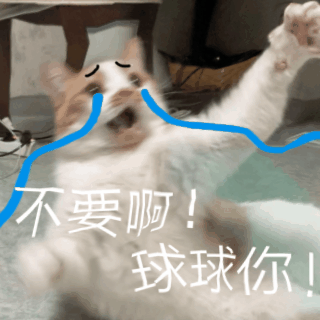 不要啊！球球你！（不要啊！球球你！）