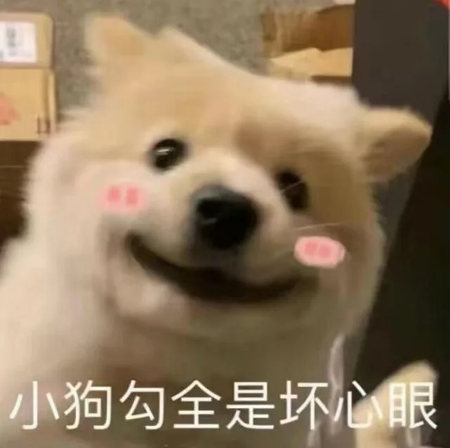 小狗勾全是坏心眼（小狗勾全是坏心眼）
