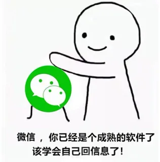 「你已经是个成熟的软件了」系列表情包