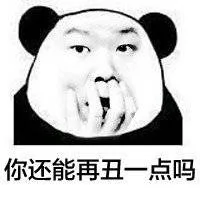 你还能再丑一点吗