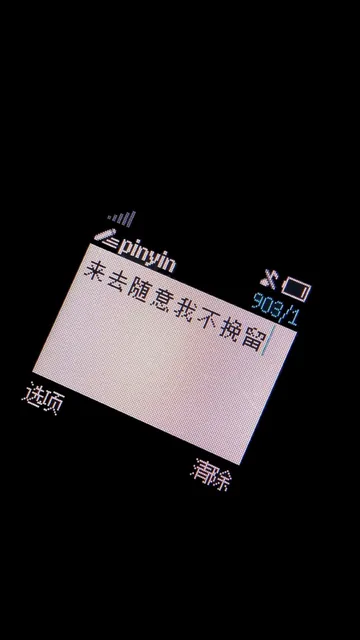 来去随意我不挽留