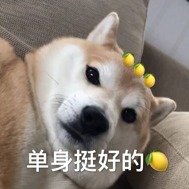 单身挺好的 酸了
