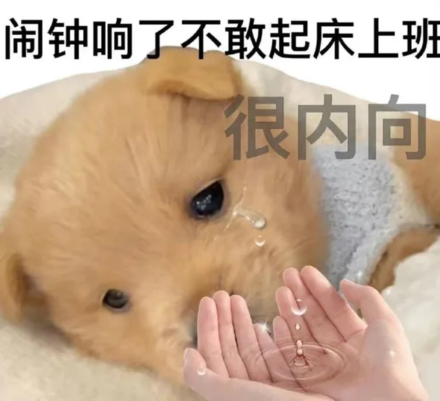 闹钟响了不敢起床上班很内向（闹钟响了不敢起床上班很内向）