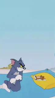 一组猫和老鼠壁纸