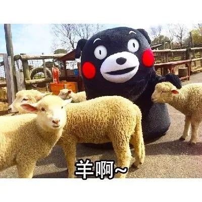 羊啊