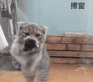 擦窗