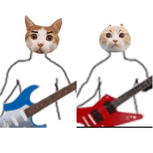 猫咪弹吉他（猫咪弹吉他）