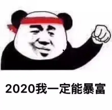 2020我一定能暴富（2020我一定能暴富）