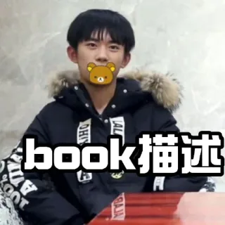 book 描述，不可描述