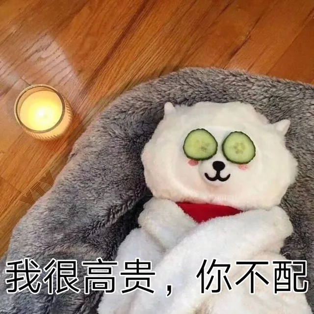 我很高贵，你不配（我很高贵，你不配）