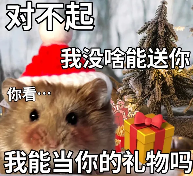 对不起我没啥能送你我没啥能送你你看我能当你的礼物吗