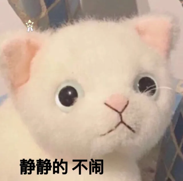 静静的 不闹
