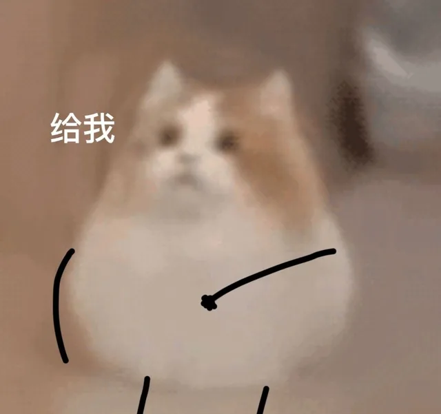 可爱猫猫表情包_萌萌哒表情包