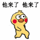 他来了他来了（小黄鸡表情包）（他来了他来了（小黄鸡表情包））