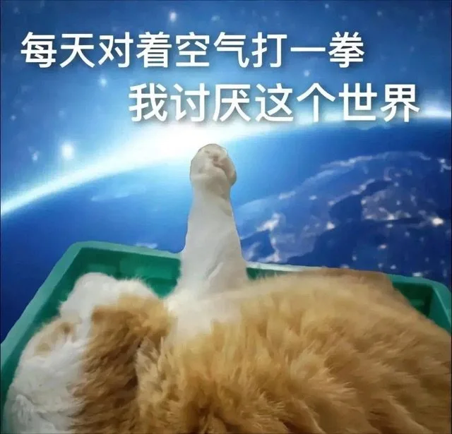 每天对着空气打一拳我讨厌这个世界（每天对着空气打一拳我讨厌这个世界）