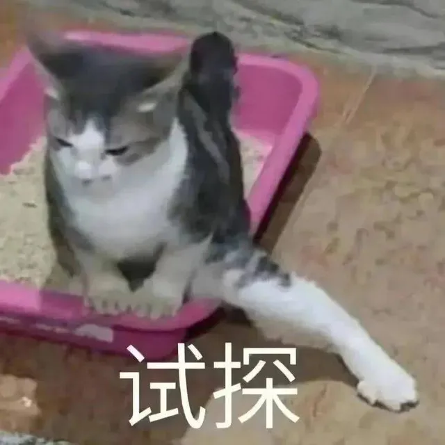 试探（试探）