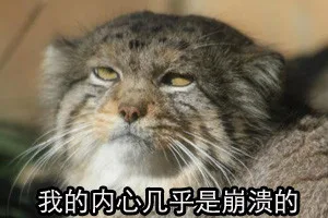 我的内心几乎是崩溃 的