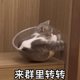 来群里转转（来群里转转）