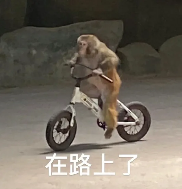 在路上了(吗喽表情包)（在路上了(吗喽表情包)）