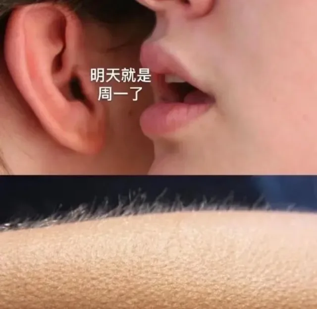 明天就是周一了(汗毛竖起)（明天就是周一了(汗毛竖起)）