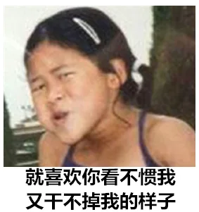 就喜欢你看不惯我，又干不掉我的样子