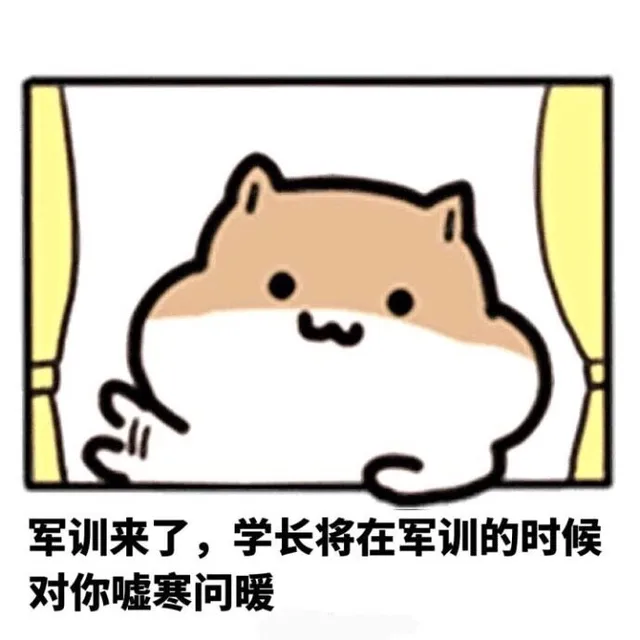 军训来了，学长将在军训的时候对你嘘寒问暖