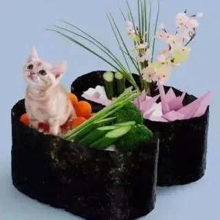 喵星人寿司