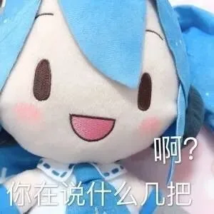 啊?你在说什么几把