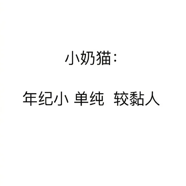 小奶猫：年纪小 单纯 较粘人（小奶猫：年纪小 单纯 较粘人）