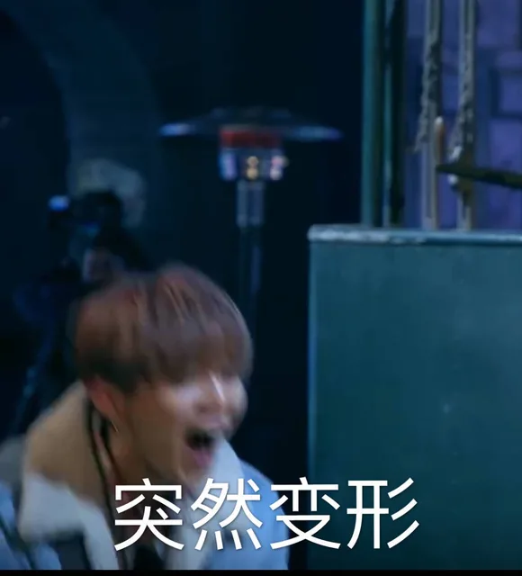 突然变形（突然变形）