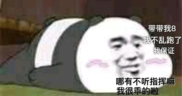 带带我8我不乱跑了哪有不听指挥嘛我很乖的啦