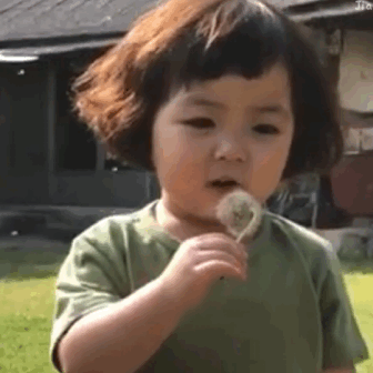 罗熙吹蒲公英动图