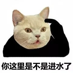 你这里是不是进水了（你这里是不是进水了）