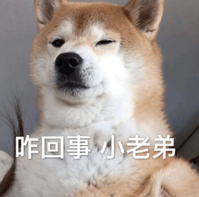 咋回事，小老弟（咋回事，小老弟）