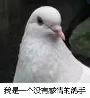 我是一个没有感情的歌手（鸽手）