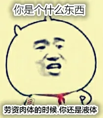 你是个什么东西，劳资肉体的时候，你还是液体