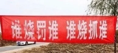 谁烧罚谁谁烧抓谁（谁烧罚谁谁烧抓谁）