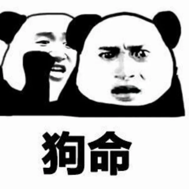 狗命