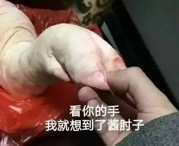看你的手我就想到了酱肘子（看你的手我就想到了酱肘子）