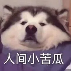 人间小苦瓜（人间小苦瓜）