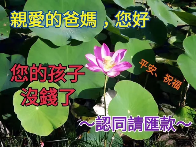 亲爱的爸妈，您好：您的孩子没钱了，认同请汇款。祝平安！（中老年表情包）