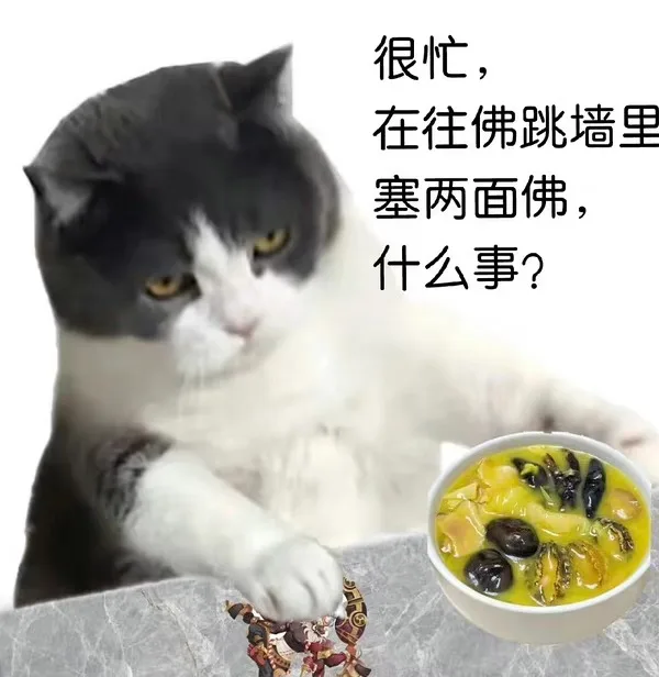 很忙,在往佛跳墙里塞两面佛,什么事?（很忙,在往佛跳墙里塞两面佛,什么事?）