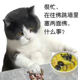 很忙,在往佛跳墙里塞两面佛,什么事?