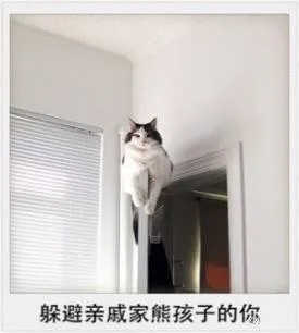 躲避亲戚家熊孩子的你（躲避亲戚家熊孩子的你）