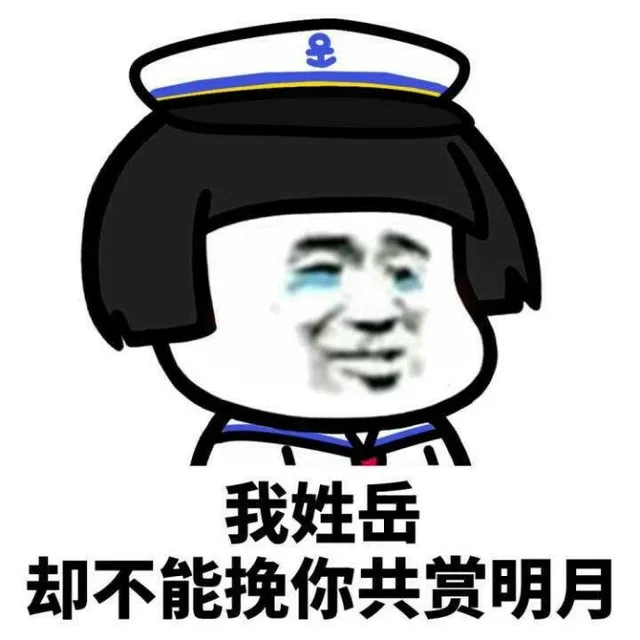 我姓岳却不能挽你共赏明月